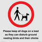 IV7279: Please keep all dogs on a lead as they can disturb ground nesting birds and their chicks