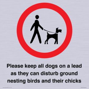 IV7279: Please keep all dogs on a lead as they can disturb ground nesting birds and their chicks