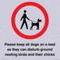 IV7279: Please keep all dogs on a lead as they can disturb ground nesting birds and their chicks