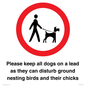 IV7279: Please keep all dogs on a lead as they can disturb ground nesting birds and their chicks