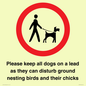 IV7279: Please keep all dogs on a lead as they can disturb ground nesting birds and their chicks