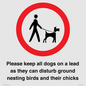 IV7279: Please keep all dogs on a lead as they can disturb ground nesting birds and their chicks