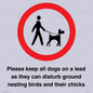 IV7279: Please keep all dogs on a lead as they can disturb ground nesting birds and their chicks