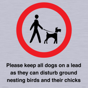 IV7279: Please keep all dogs on a lead as they can disturb ground nesting birds and their chicks