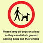 IV7279: Please keep all dogs on a lead as they can disturb ground nesting birds and their chicks