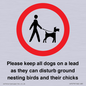 IV7279: Please keep all dogs on a lead as they can disturb ground nesting birds and their chicks