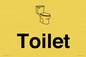 KT13252: Dementia Toilet signs