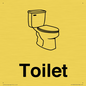 KT13252: Dementia Toilet signs