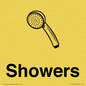 KT13258: Dementia Showers sign