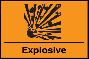 LN5368: Explosive - CHIP