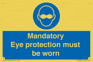 M10369: Mandatory eye protection must be worn