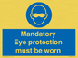 M10369: Mandatory eye protection must be worn