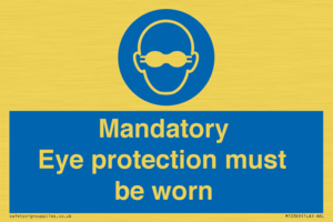 M10369: Mandatory eye protection must be worn
