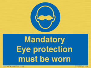 M10369: Mandatory eye protection must be worn