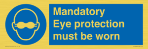 M10369: Mandatory eye protection must be worn
