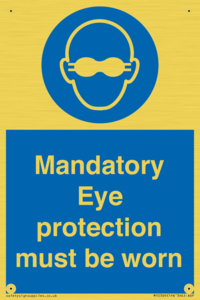 M10369: Mandatory eye protection must be worn