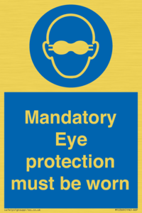 M10369: Mandatory eye protection must be worn