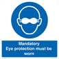M10369: Mandatory eye protection must be worn
