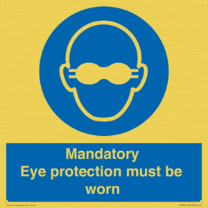 M10369: Mandatory eye protection must be worn