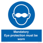 M10369: Mandatory eye protection must be worn