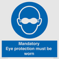 M10369: Mandatory eye protection must be worn