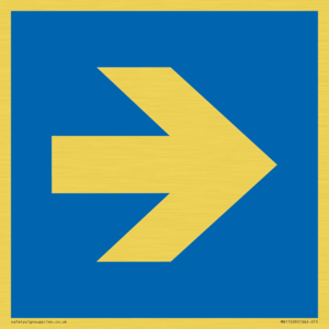 MA11529: Custom Mandatory: Right arrow