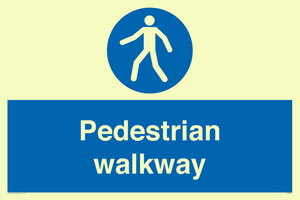 MA5289: Pedestrian walkway