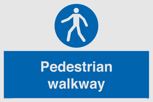 MA5289: Pedestrian walkway