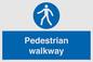 MA5289: Pedestrian walkway