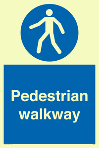MA5289: Pedestrian walkway