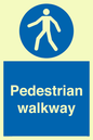 MA5289: Pedestrian walkway