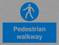 MA5289: Pedestrian walkway