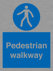 MA5289: Pedestrian walkway