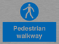 MA5289: Pedestrian walkway