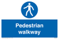 MA5289: Pedestrian walkway