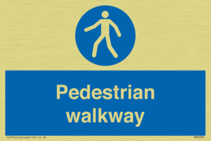 MA5289: Pedestrian walkway