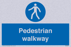 MA5289: Pedestrian walkway