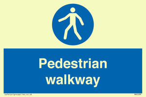 MA5289: Pedestrian walkway