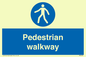 MA5289: Pedestrian walkway
