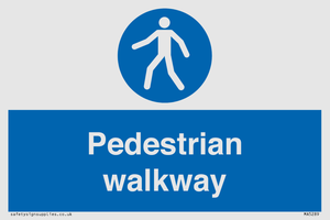 MA5289: Pedestrian walkway