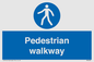 MA5289: Pedestrian walkway