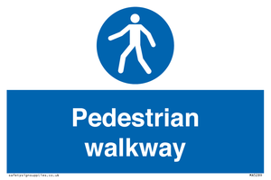 MA5289: Pedestrian walkway