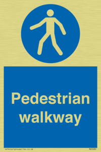MA5289: Pedestrian walkway