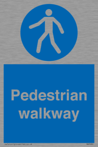 MA5289: Pedestrian walkway