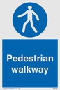 MA5289: Pedestrian walkway