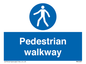 MA5289: Pedestrian walkway
