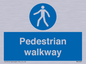 MA5289: Pedestrian walkway