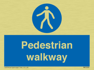 MA5289: Pedestrian walkway