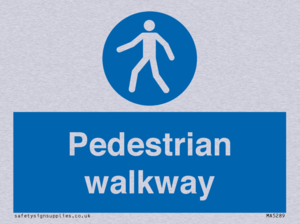 MA5289: Pedestrian walkway