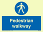 MA5289: Pedestrian walkway